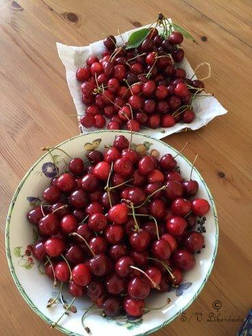 Cerises Oloronnaises Cerises Oloronnaises