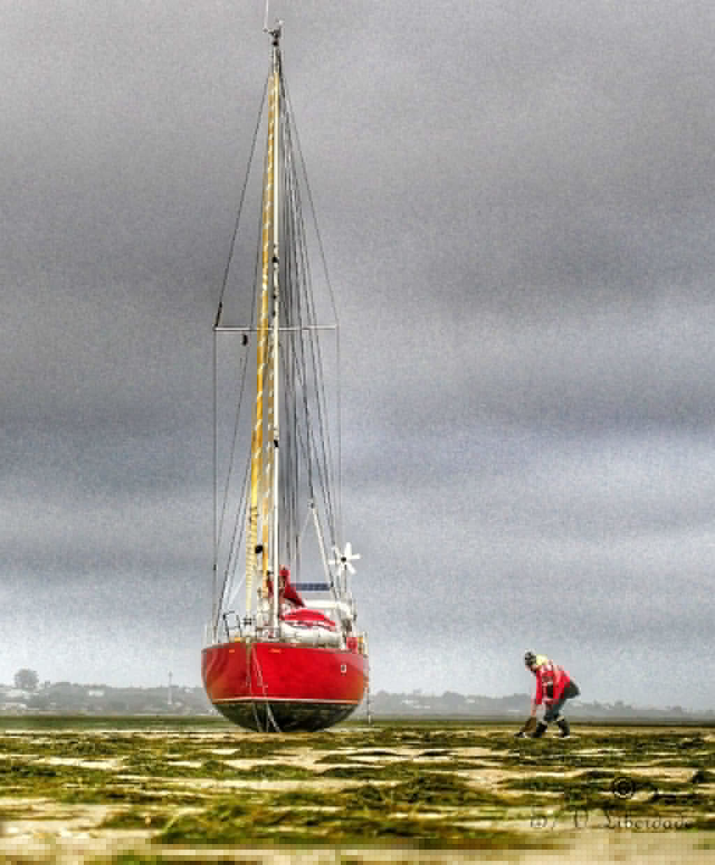 Armona - Porto Santo