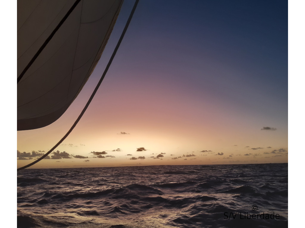 Baleine soleil du soir