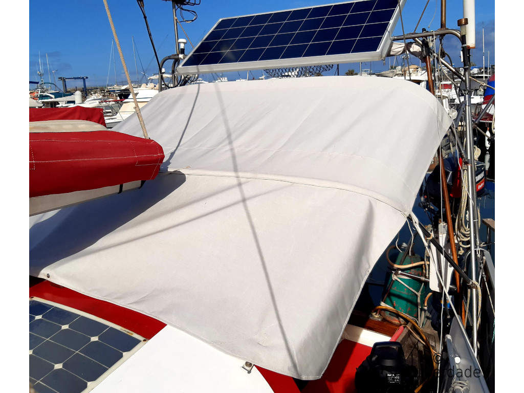 Bimini tropical Bimini tropical intégral