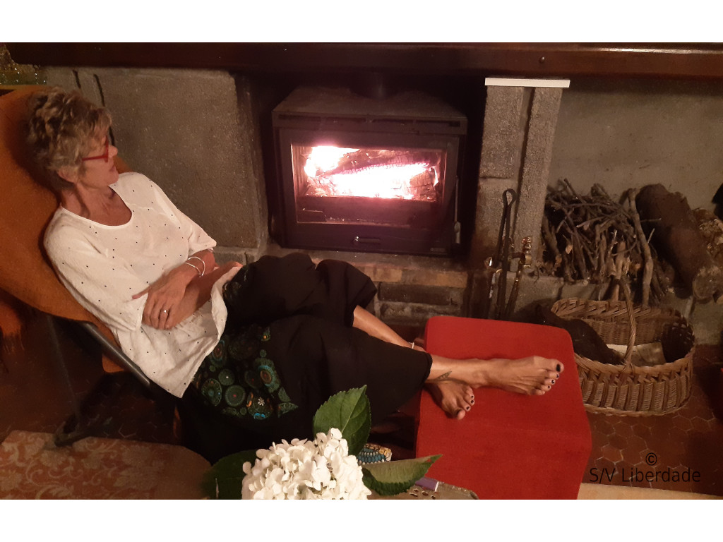 La plaine des Palmistes