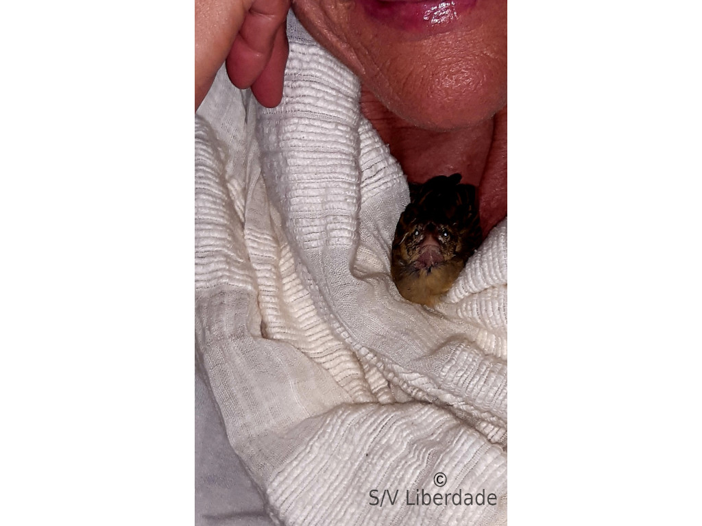 RIP Titeuf RIP Titeuf